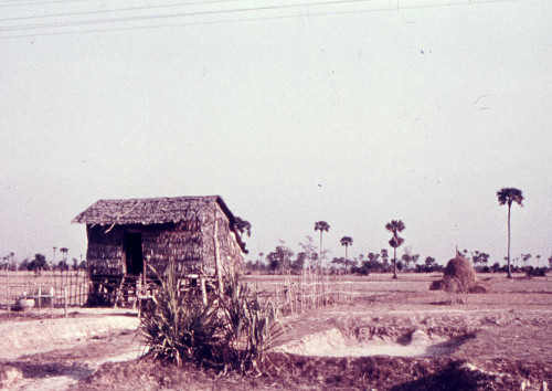 B0096.jpg