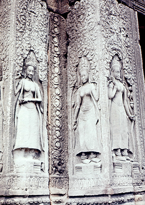 D0036.jpg