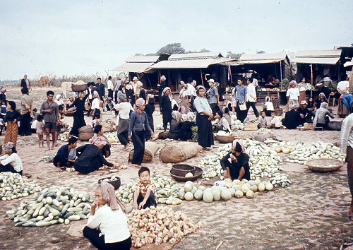 D0060.jpg