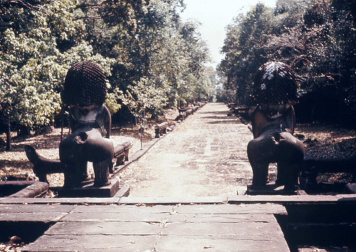 D0073.jpg