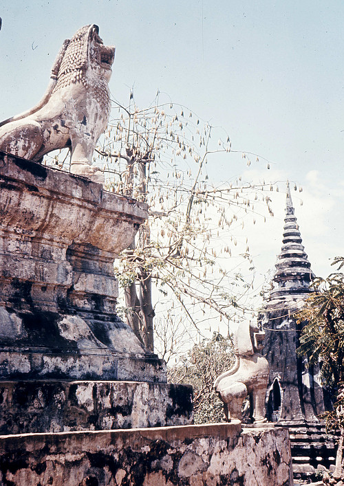 D0149.jpg