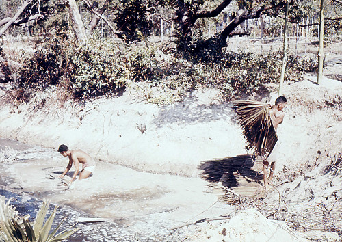 E0071.jpg