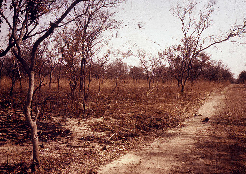 B0033.jpg