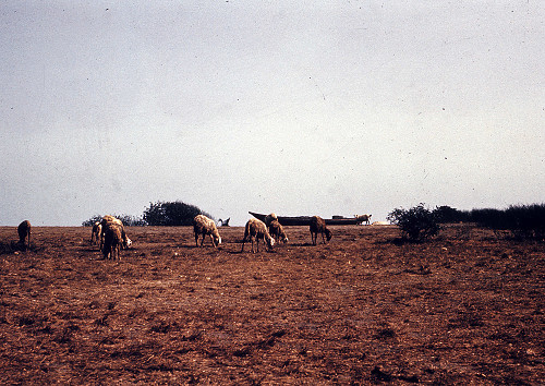 B0041.jpg
