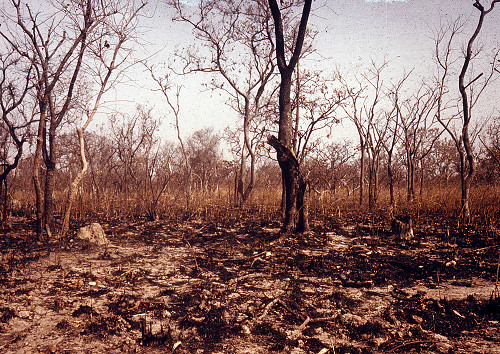 B0043.jpg
