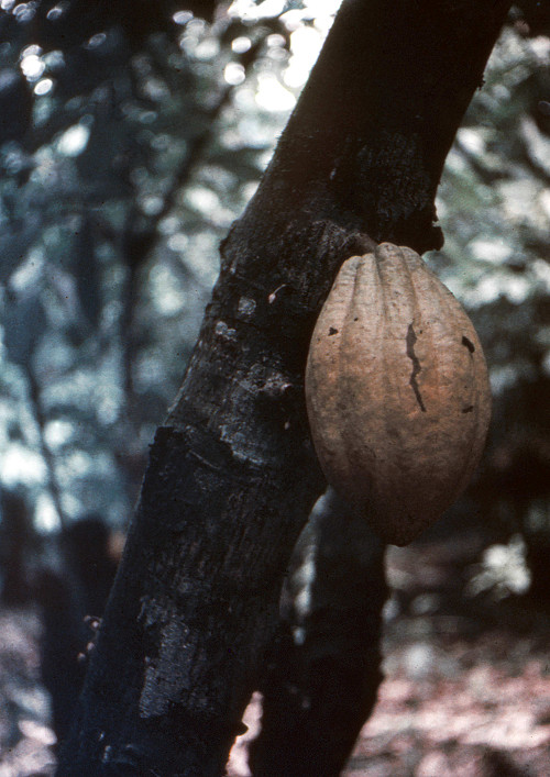 B0086.jpg