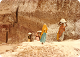 23_III_016_001_thumb.png