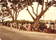 31_III_024_001_thumb.png