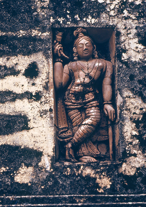 A0060.jpg