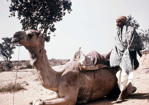 K0013.jpg