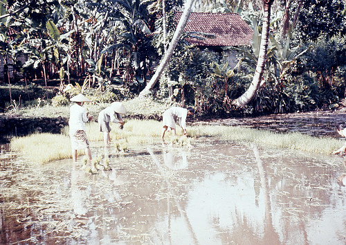 E0067.jpg