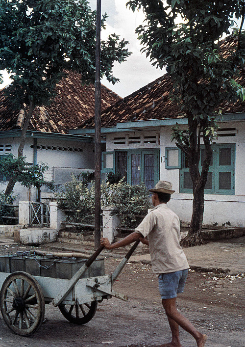 M0033.jpg