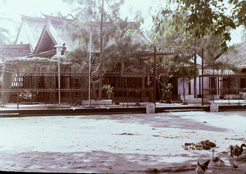 M0049.jpg