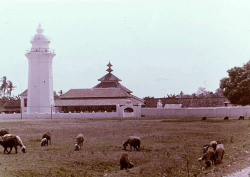 M0050.jpg
