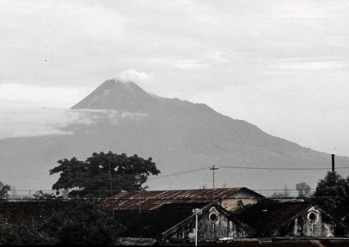 M0062.jpg