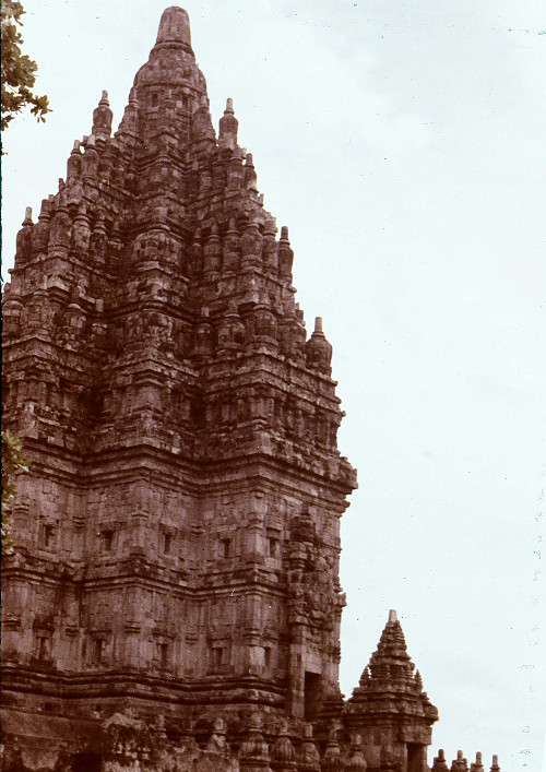 M0069.jpg