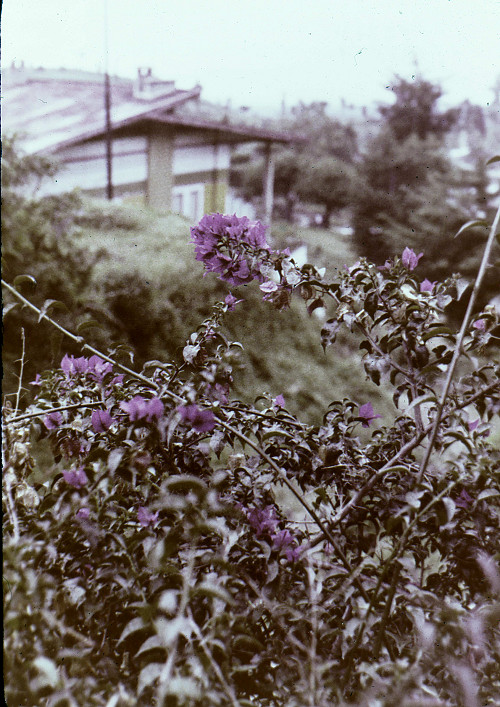 M0073.jpg