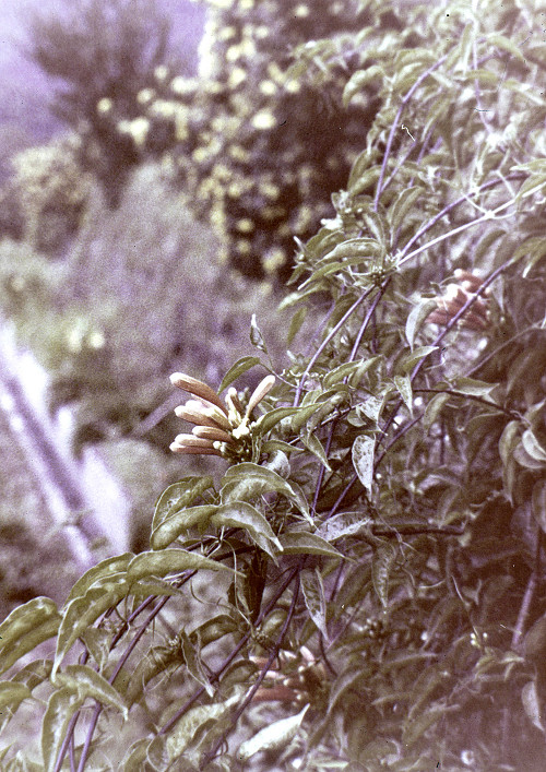 M0074.jpg