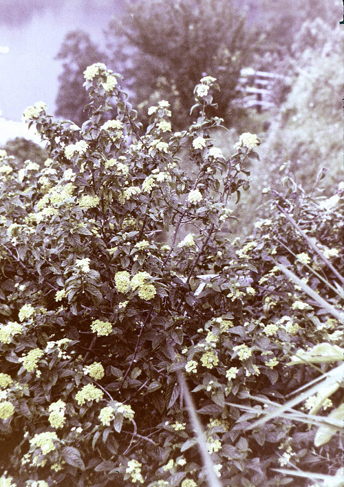 M0078.jpg