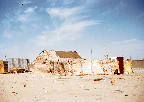 I0021.jpg