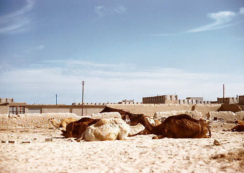 I0023.jpg