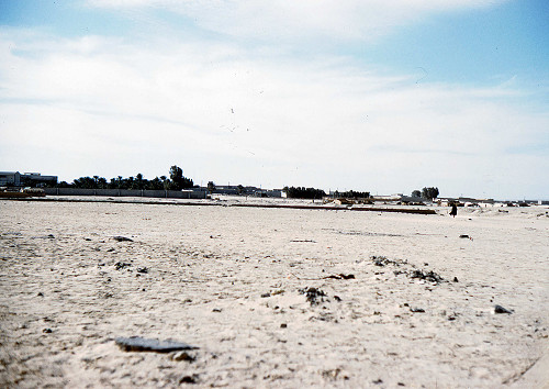 I0024.jpg