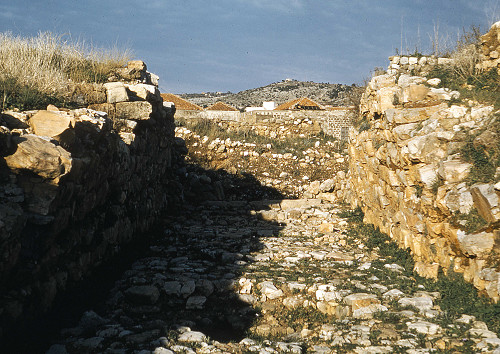 I0110.jpg