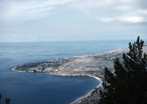 I0119.jpg