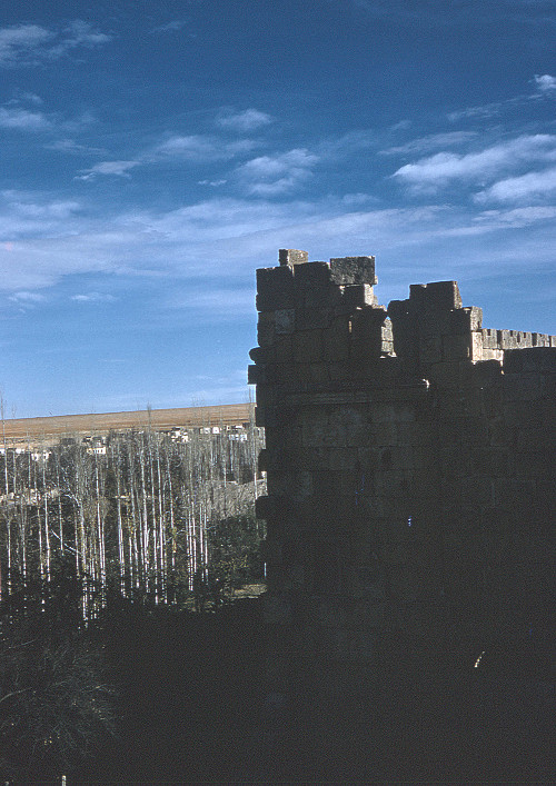 I0128.jpg