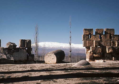 I0137.jpg