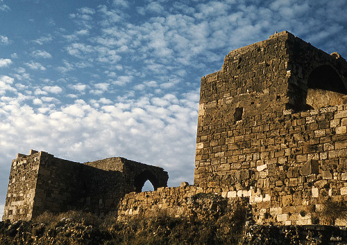 I0142.jpg