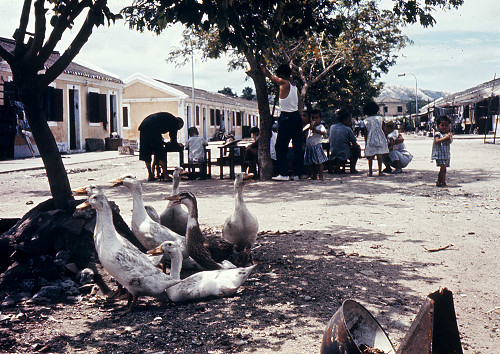 D0117.jpg