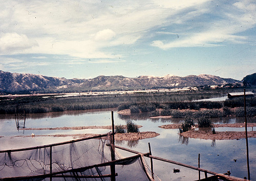 D0120.jpg