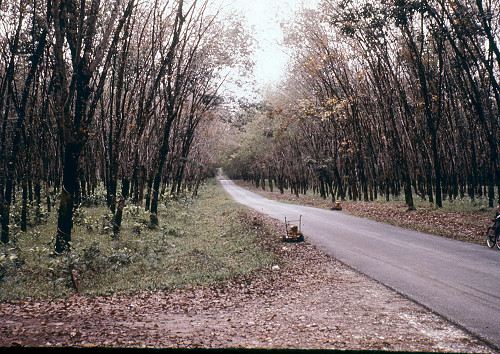L0056.jpg