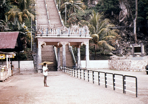 L0060.jpg