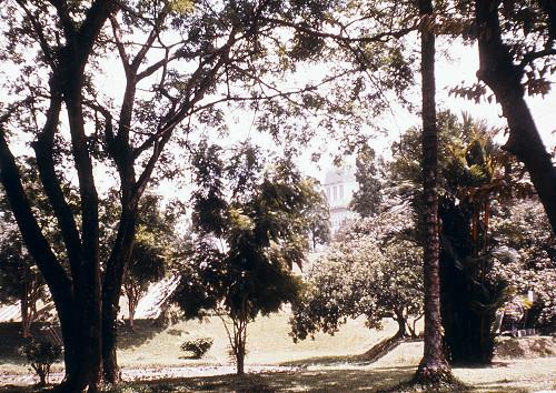 L0078.jpg