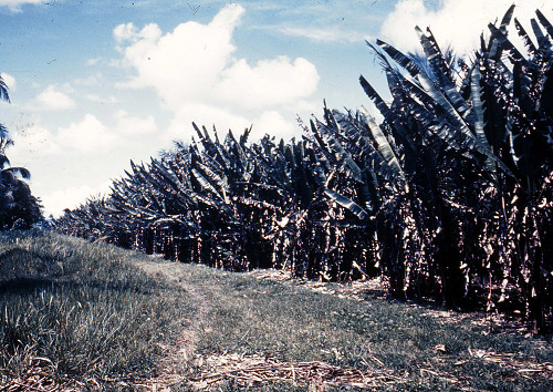 H0001.jpg