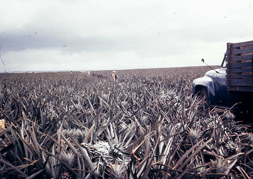 H0002.jpg