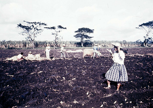H0003.jpg