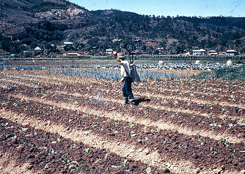 H0005.jpg