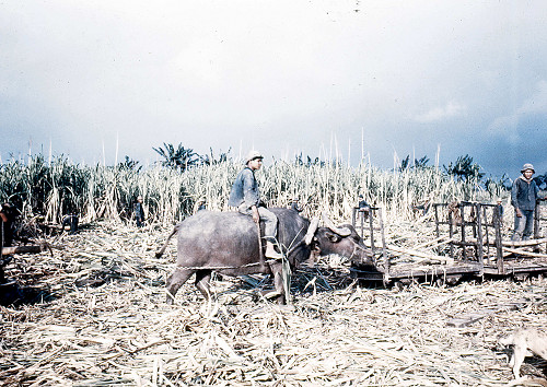 H0006.jpg