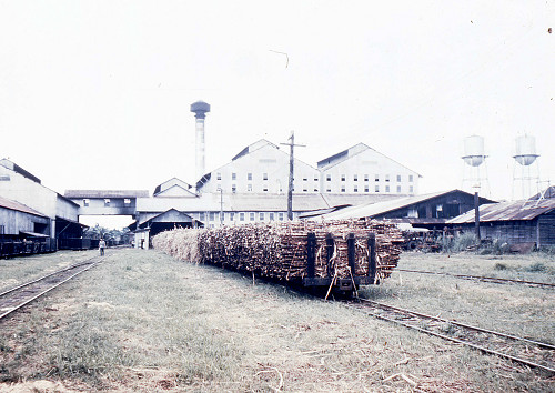 H0009.jpg
