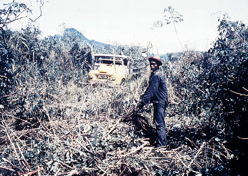H0010.jpg