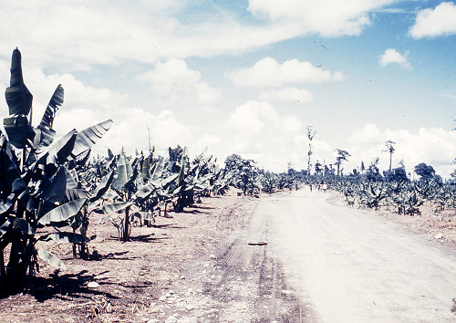 H0015.jpg