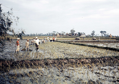 H0025.jpg