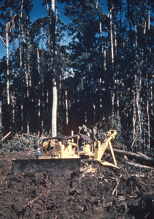 H0100.jpg
