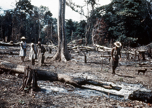 H0103.jpg
