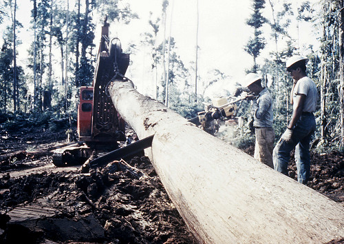 H0105.jpg