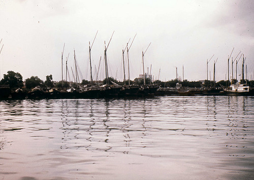 L0033.jpg