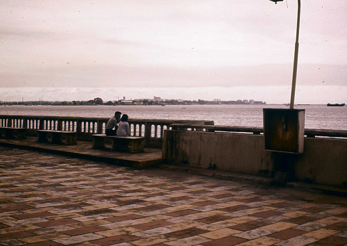 L0050.jpg